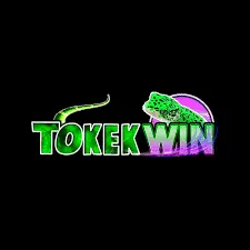 tokekwin APK Puzzle